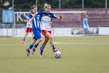 Bild 187 - wBJ Hamburger SV - FC Suederelbe : Ergebnis: 9:0